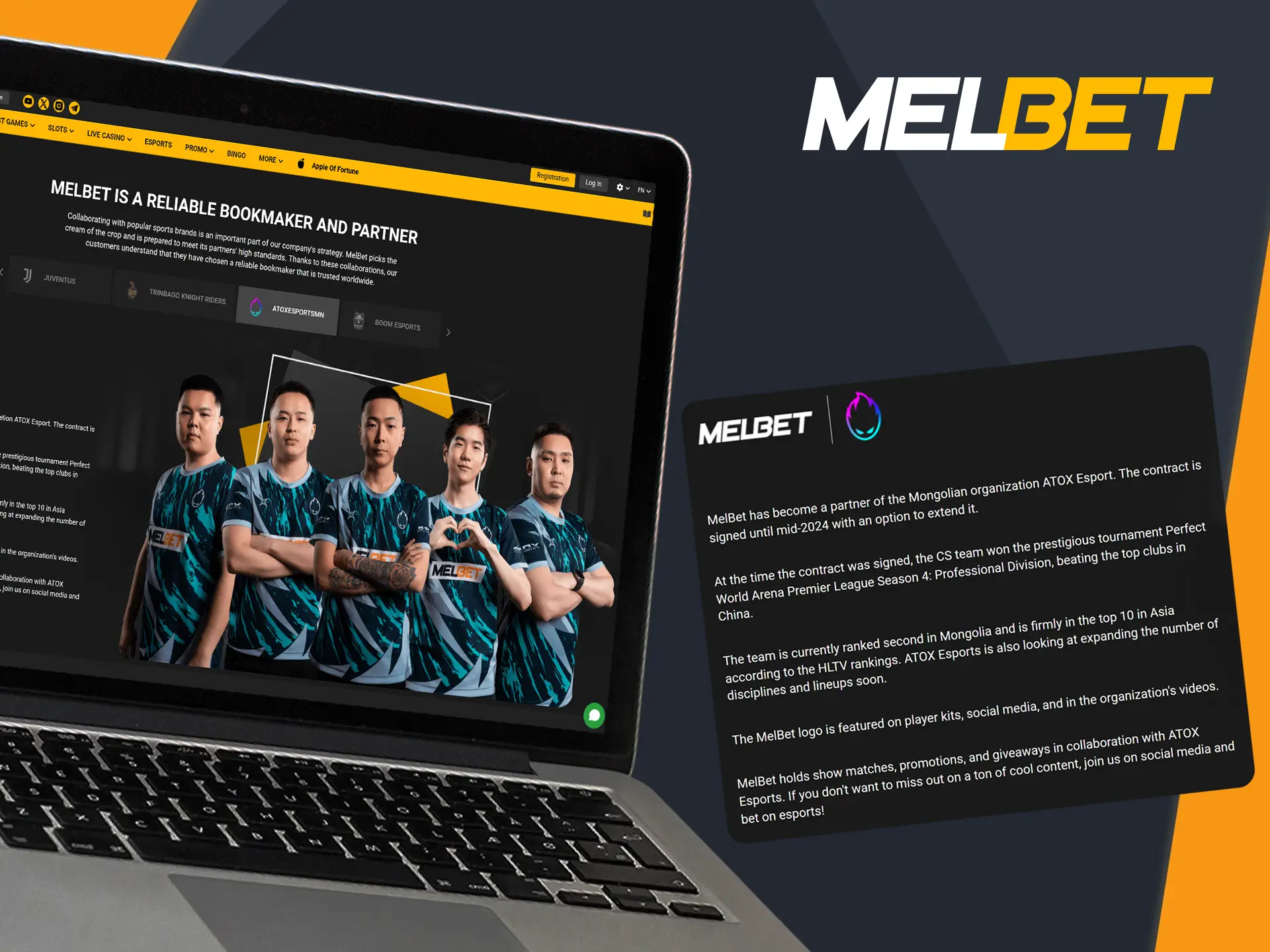 Melbet's esports partnerships draw a diverse esports fanbase.