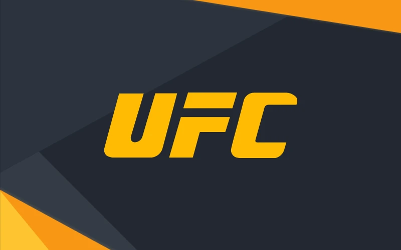 Wager on the exciting events and bouts in UFC with Melbet.